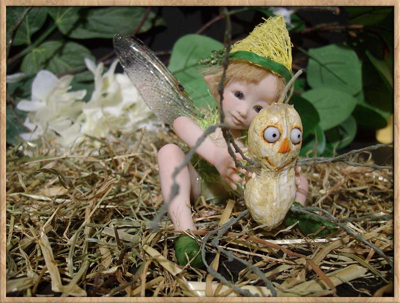 Baby Fairie Peo & Nut